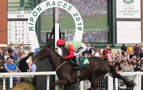 kj168 today live tips picks|Horse racing tips: Ripon, Musselburgh and Stratford – Tuesday .